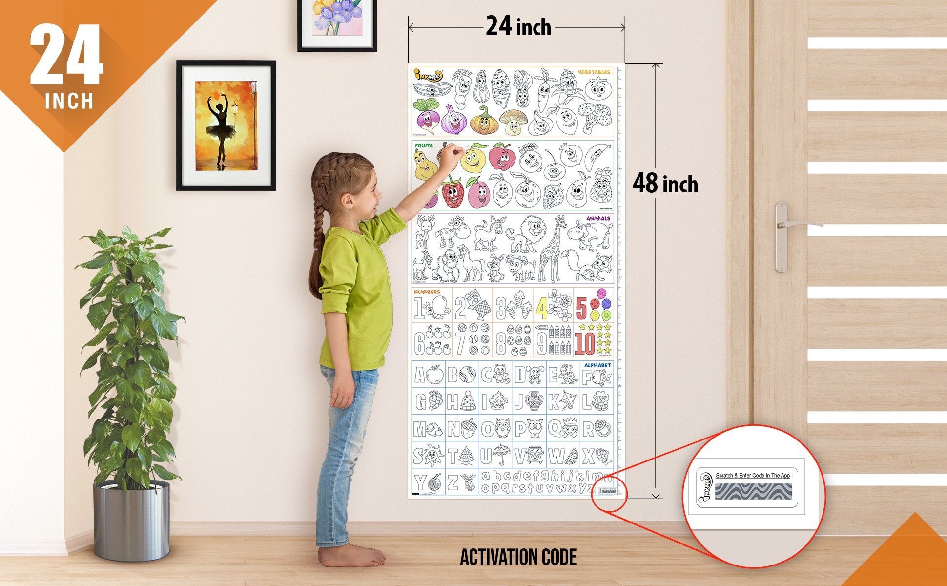  The image shows a home background with child colouring on roll sticked to the wall with size mentioned as 24*48 inches