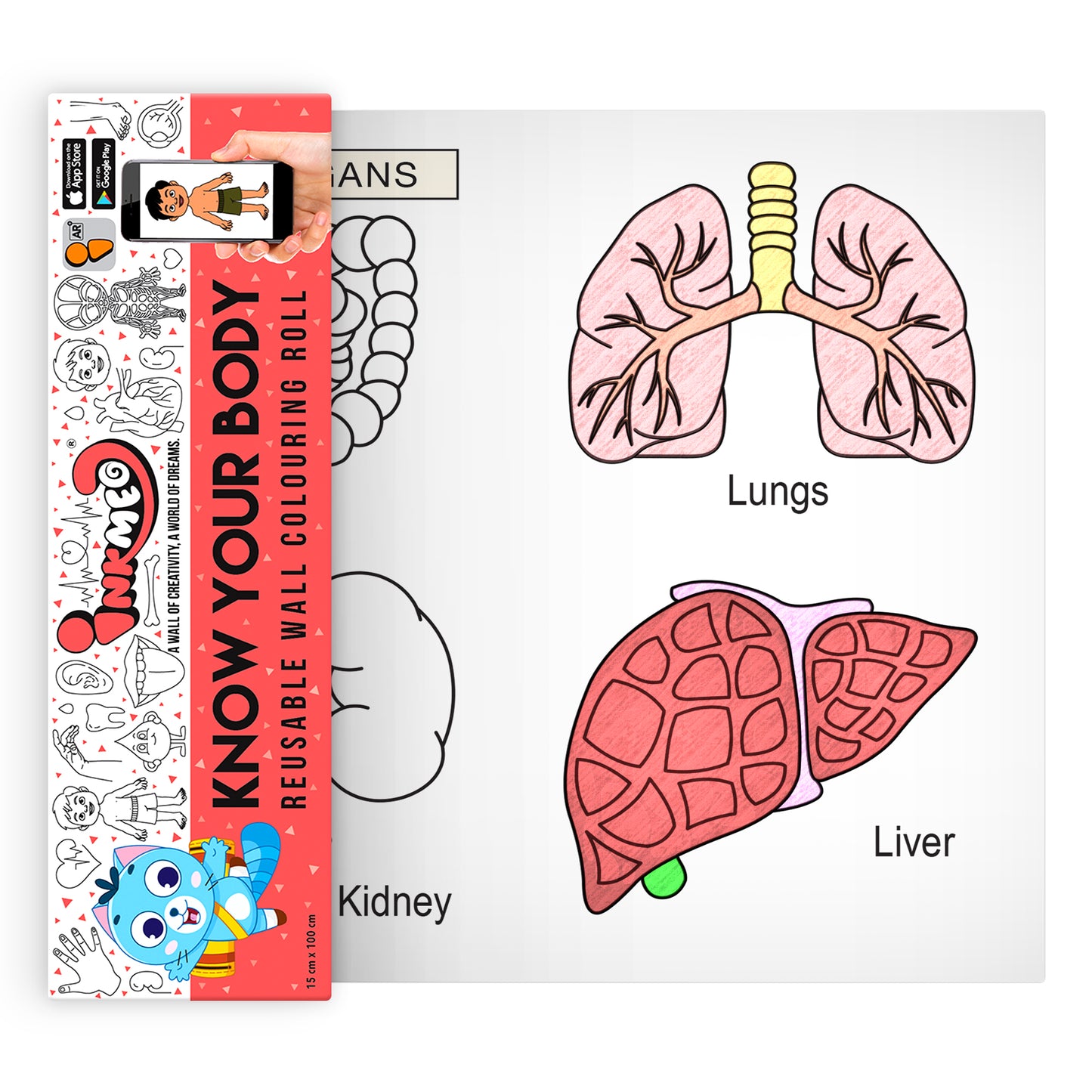 Know your Body Reusable Wall Colouring Roll - Augmented Reality Learning (6 Inches)