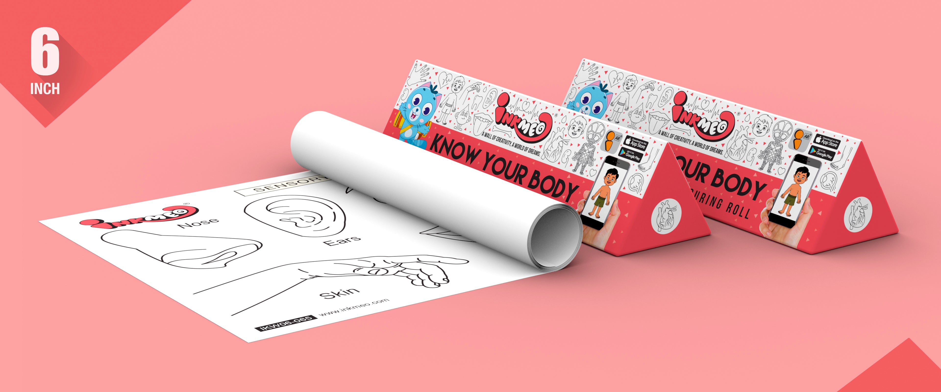 Know Your Body Colouring Roll