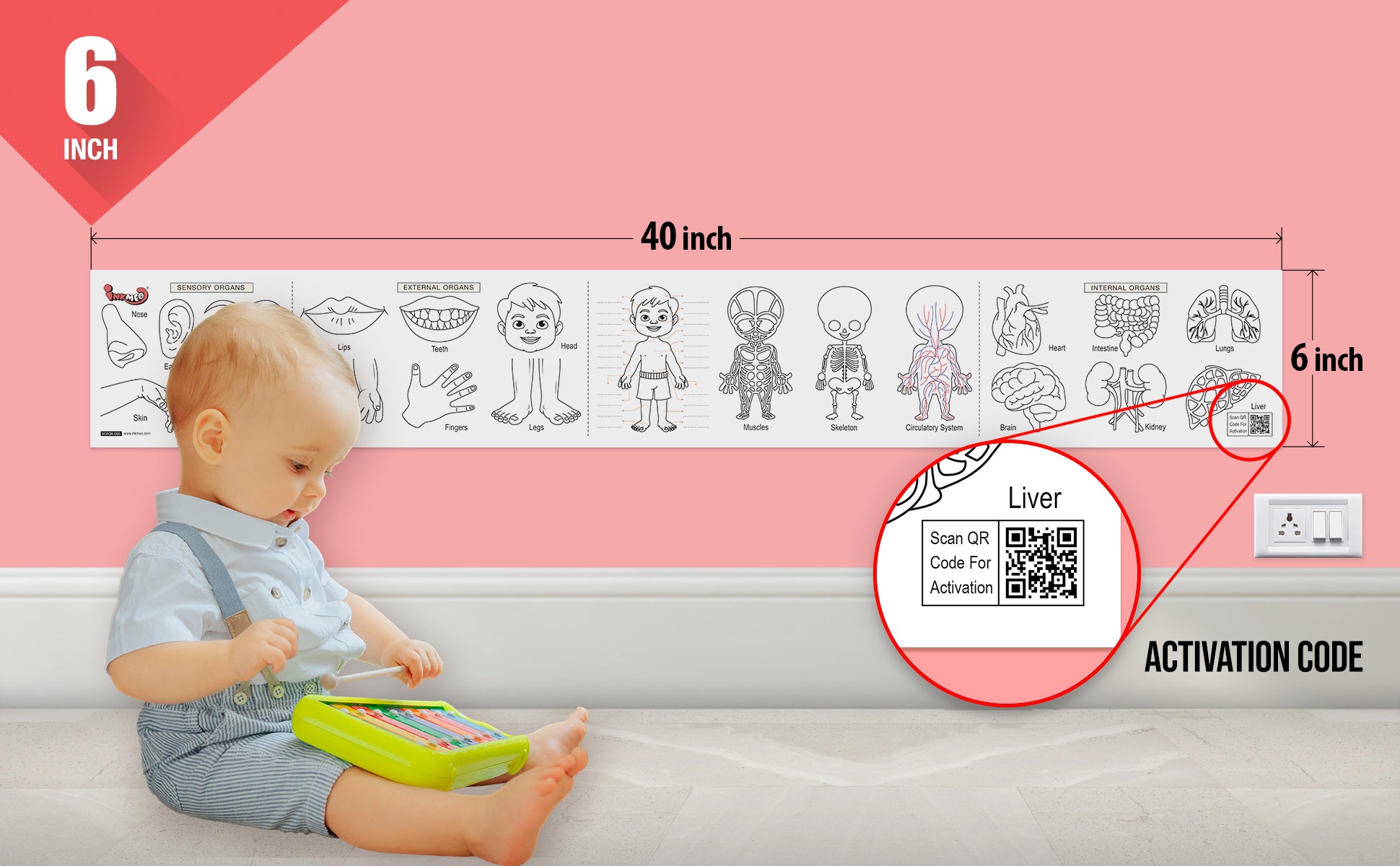 Know Your Body Colouring Roll