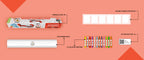Alphabet Colouring Roll