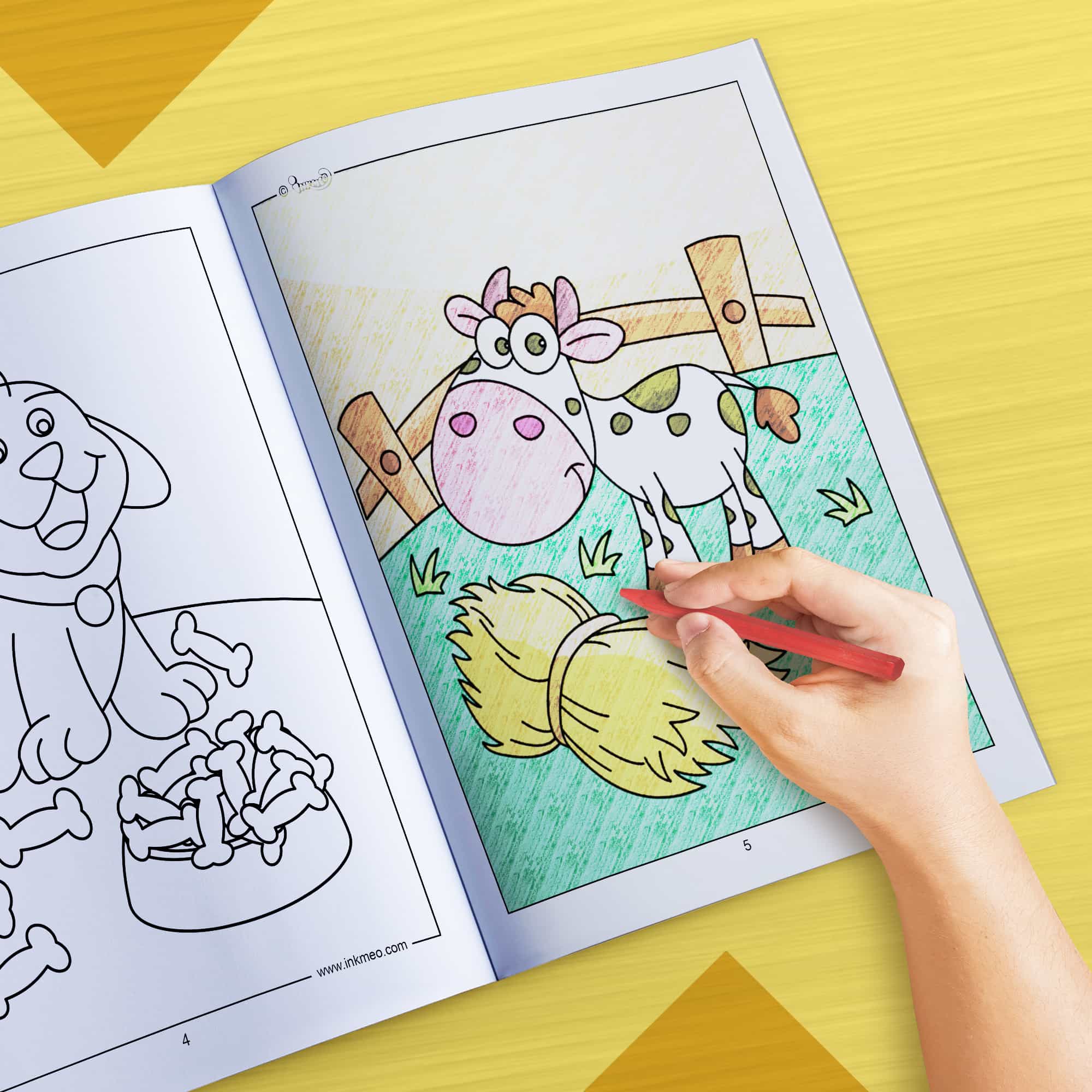 Animals Reusable Colouring Book with AR